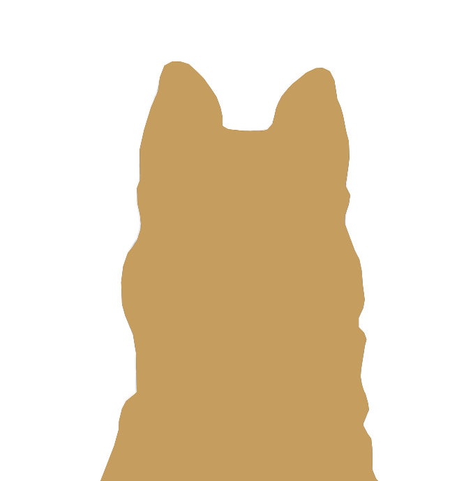Husky silhouette gold